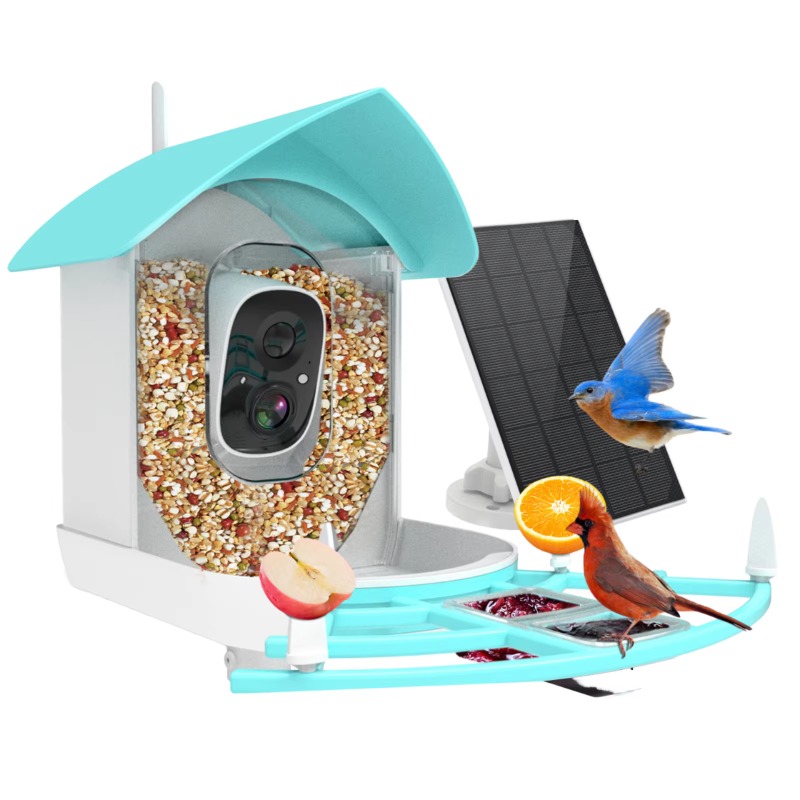 Smart Bird Feeder Camera - Smart Bird Feeder Nachtzicht Binnencamera 4G