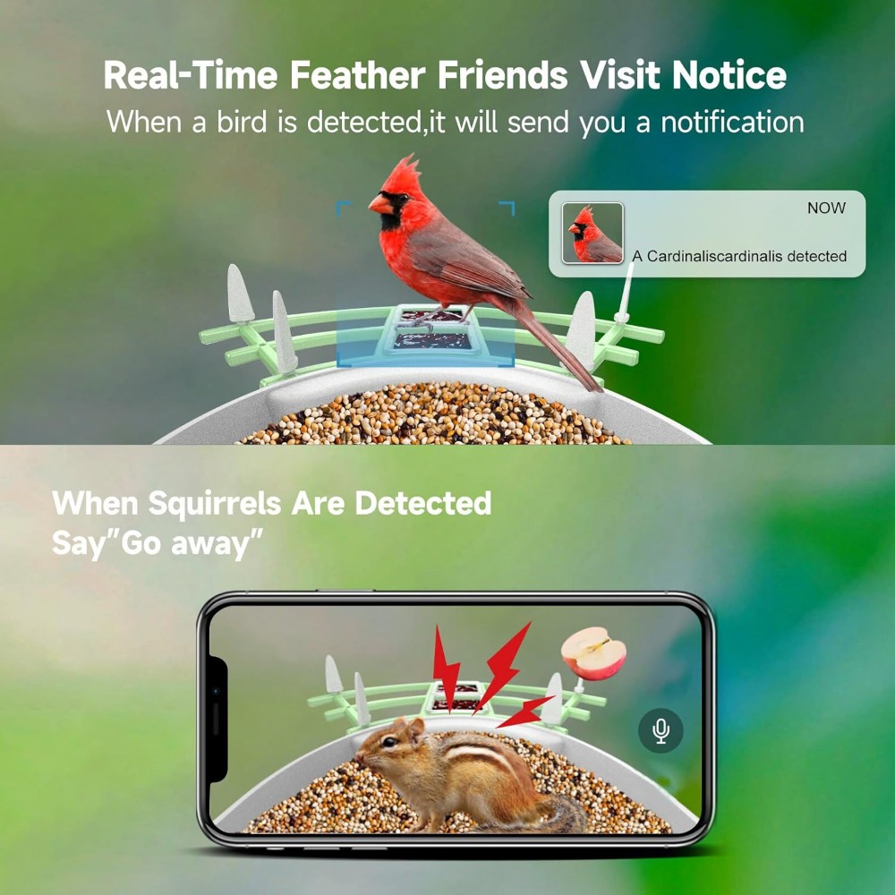 Slimme vogelvoeder op zonne-en - Smart Bird Feeder Camera recensie en prijs
