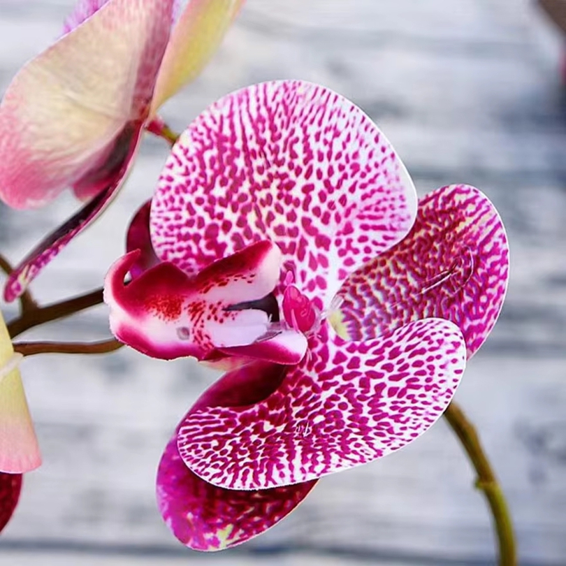 3D Kunstbloemen Plastic Vlinde - Smart Garden Storage recensie en prijs