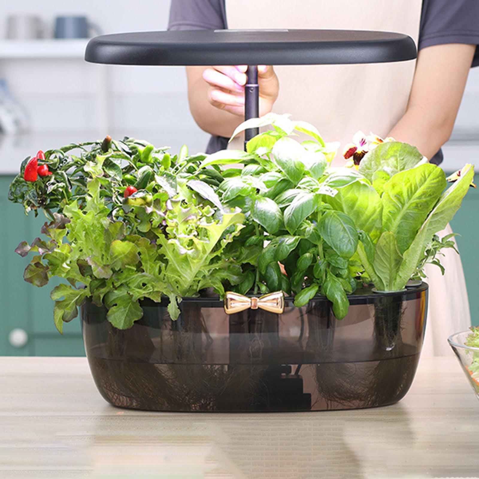 Hydrocultuur kweekmachine Lich - Smart Pod Garden recensie en prijs