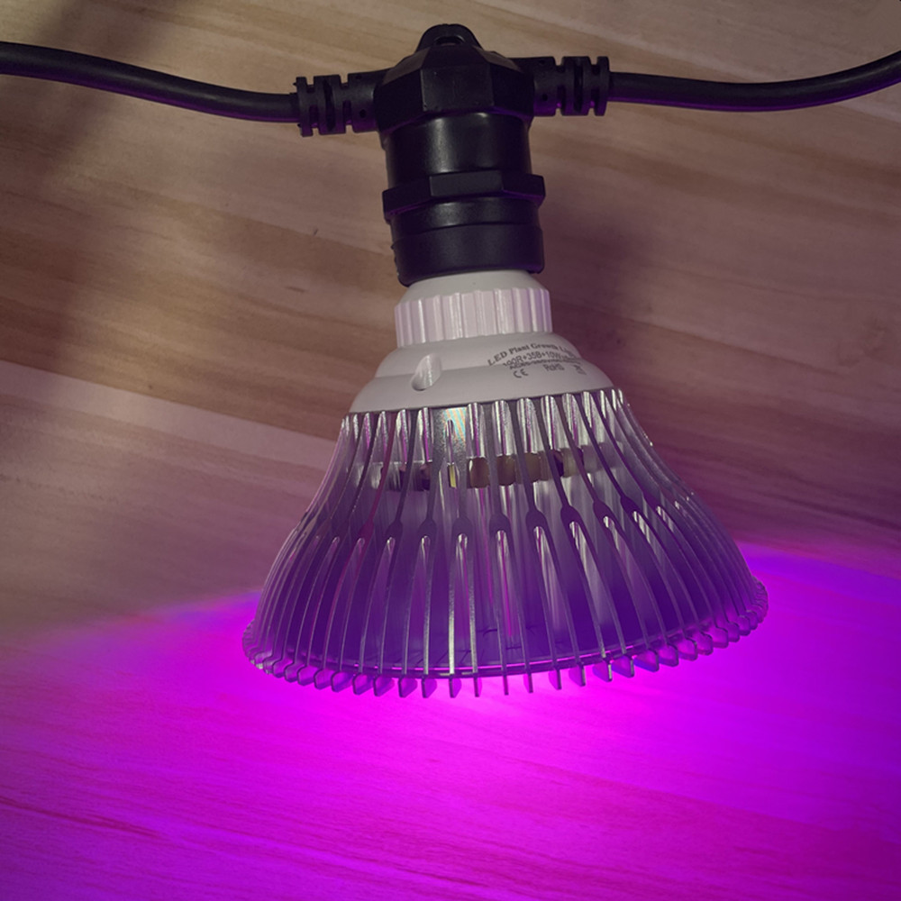 10M kabel LED-slinger van comm - Smart Garden Light recensie en prijs