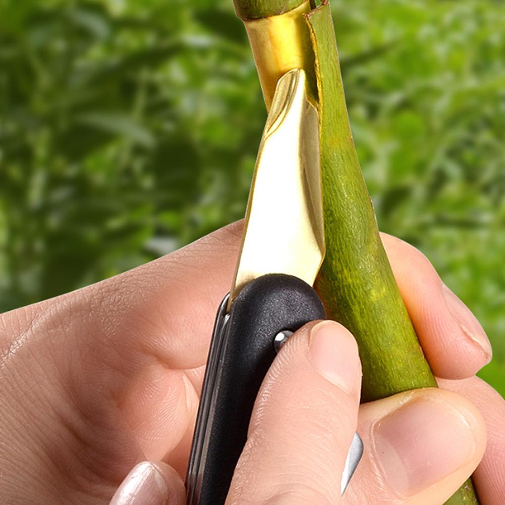 Fruit- en groentegraftmachine, - Smart Garden Edging recensie en prijs
