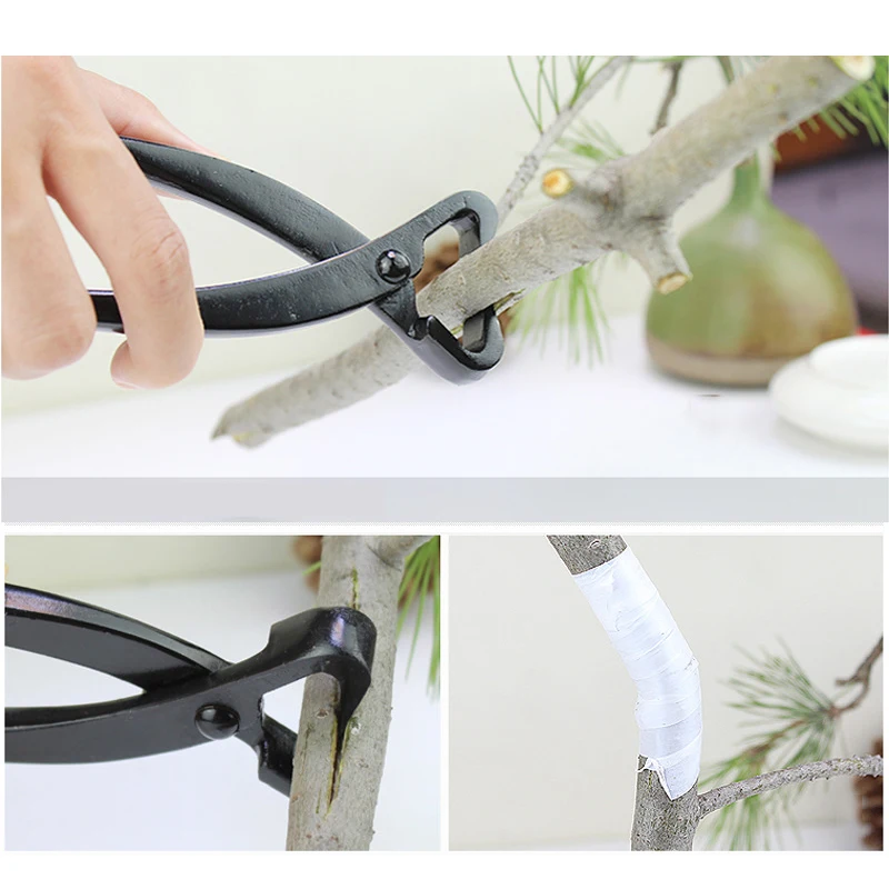 1pcs Professionele Bonsai Knop - Smart Garden Edging recensie en prijs