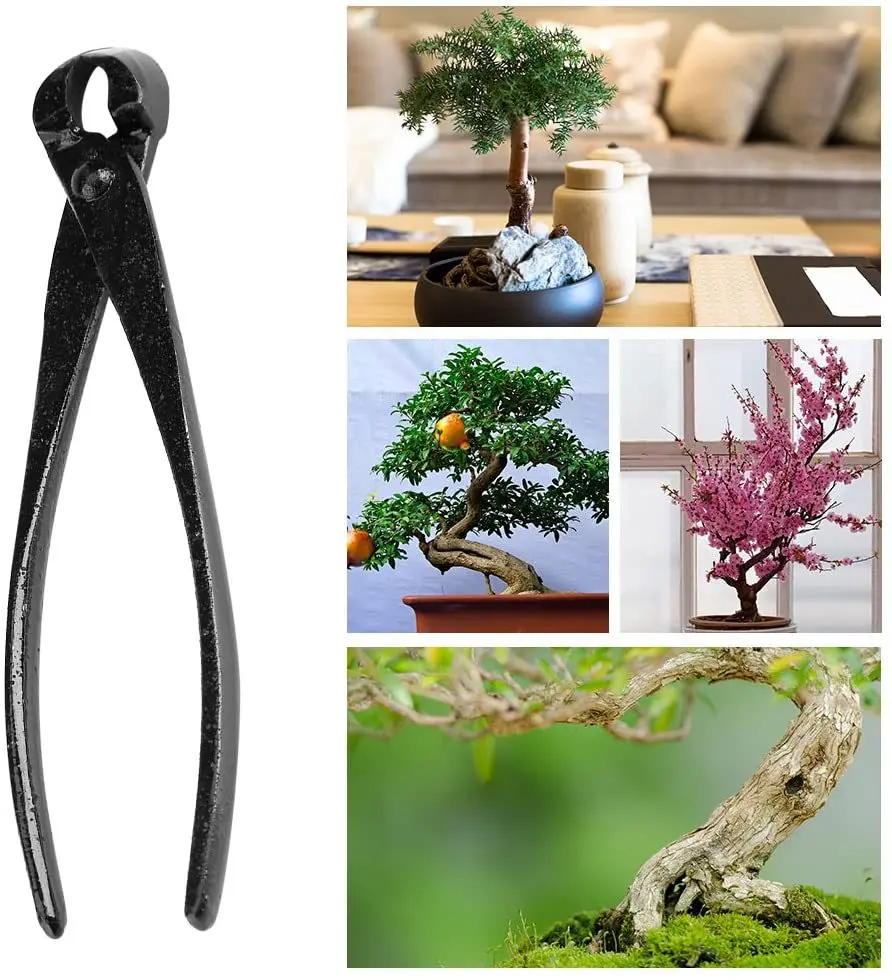 1pcs Professionele Bonsai Knop - Smart Garden Edging recensie en prijs