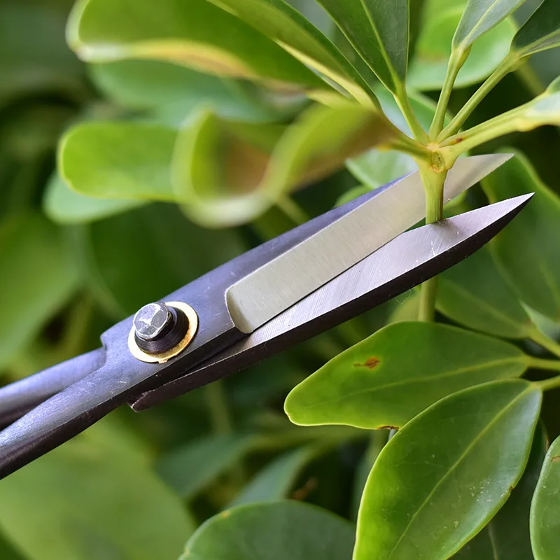 1pcs Professionele Bonsai Knop - Smart Garden Edging recensie en prijs