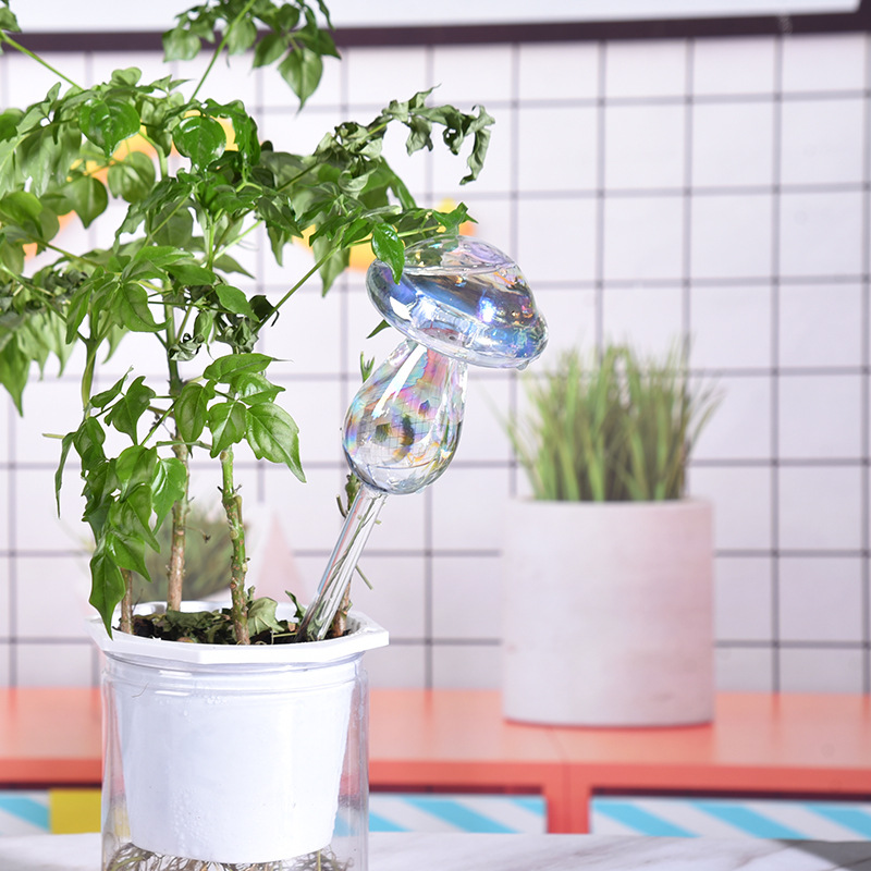 1/2 Stuks Glazen Stro Automati - Smart Garden Herb recensie en prijs