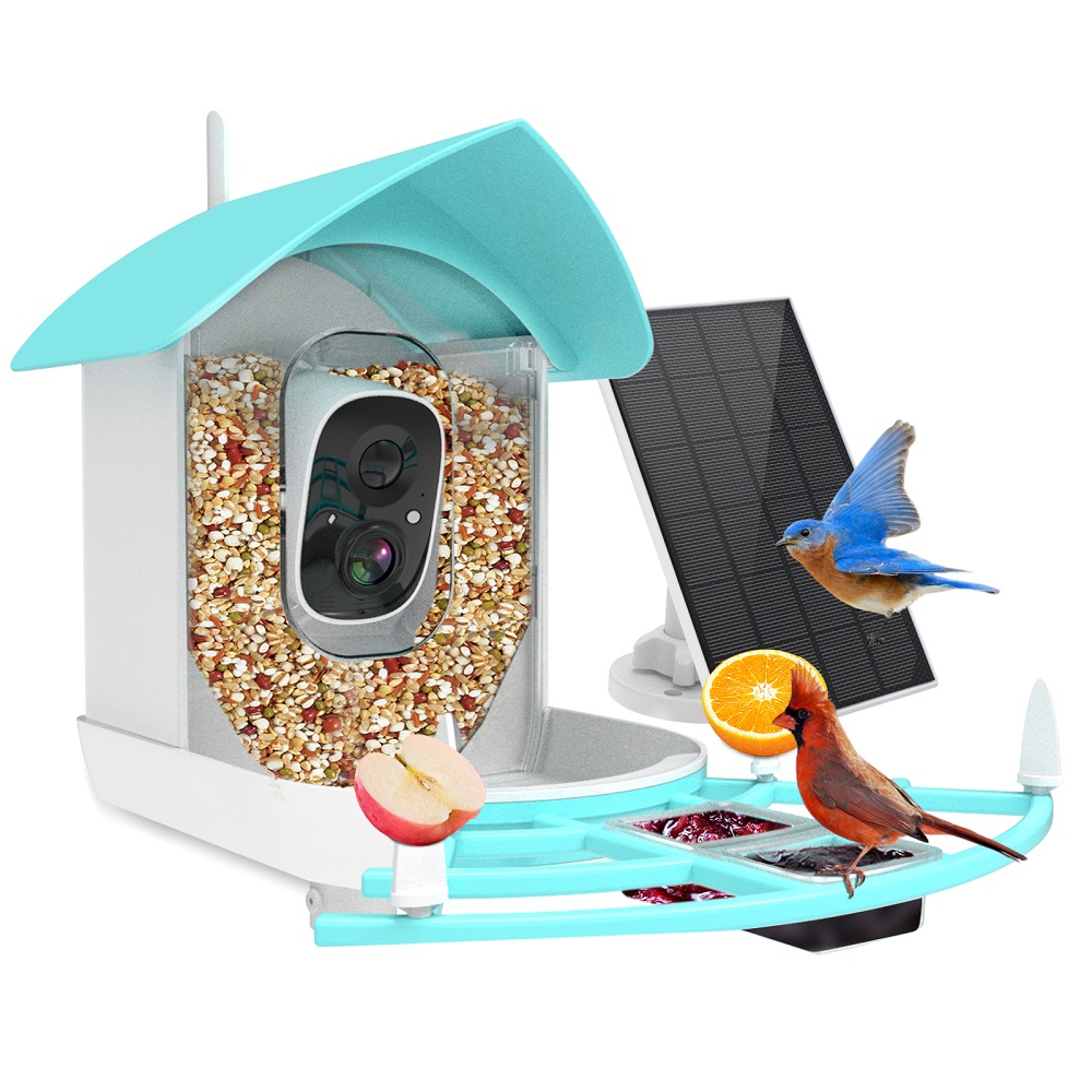 Draadloze automatische huisdie - Smart Bird Feeder Camera recensie en prijs