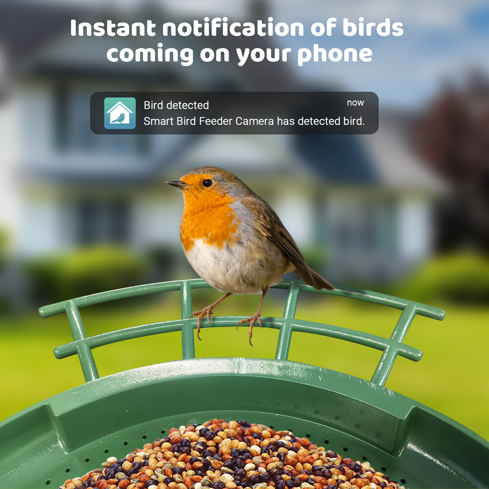 Slimme Dubbele Camera Vogelvoe - Smart Bird Feeder Camera recensie en prijs