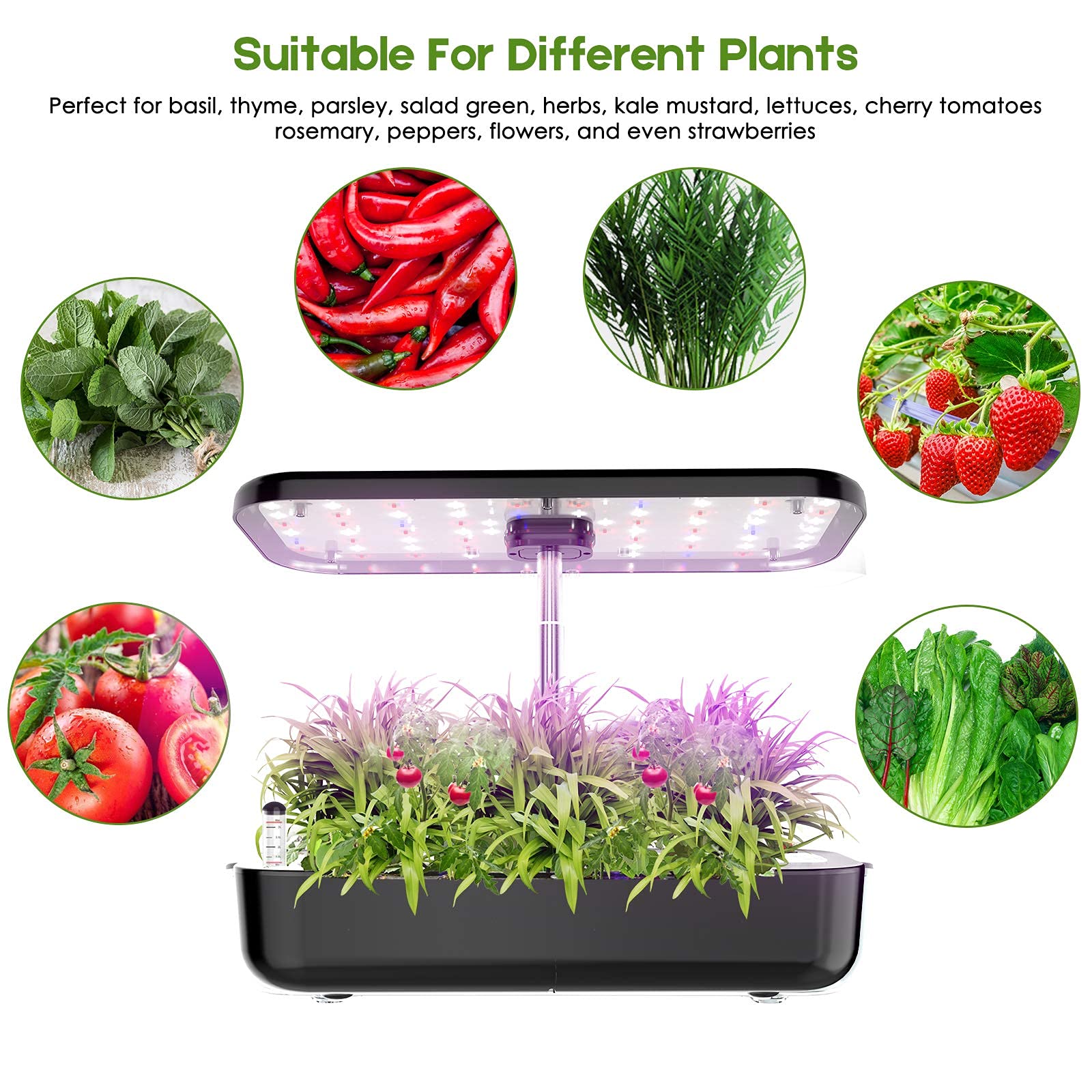 Hydrocultuur kweeksysteem 12-p - Smart Pod Garden recensie en prijs