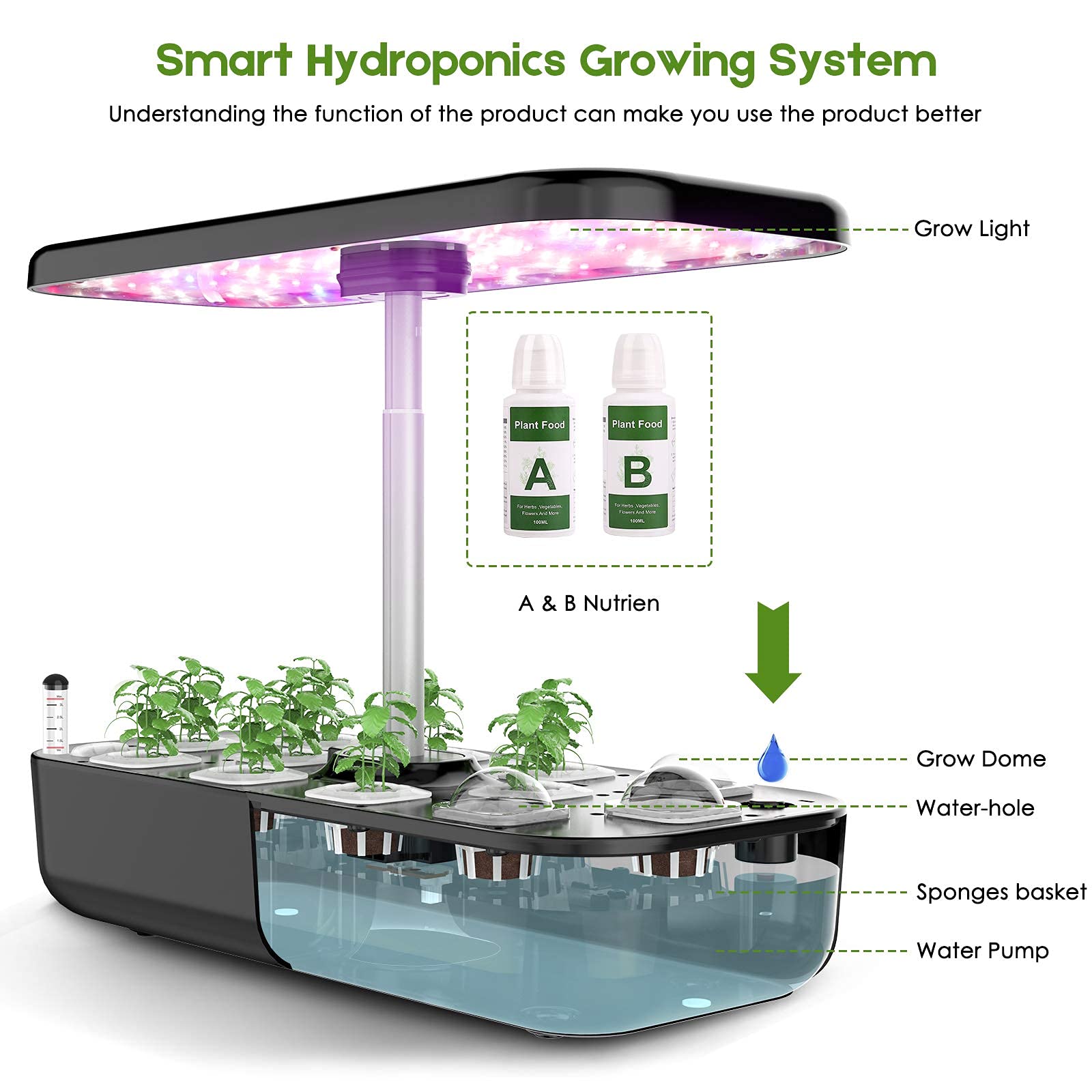 Hydrocultuur kweeksysteem 12-p - Smart Pod Garden recensie en prijs