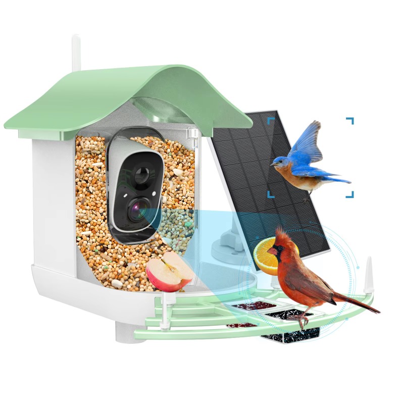 2026 App Video Auto Capture Ca - Smart Bird Feeder Camera recensie en prijs