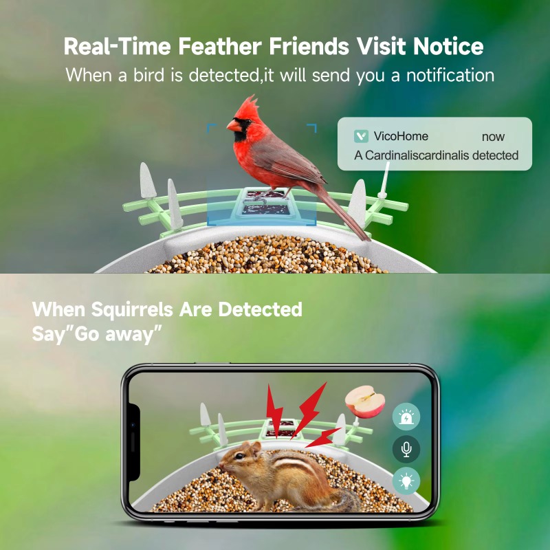 2026 App Video Auto Capture Ca - Smart Bird Feeder Camera recensie en prijs
