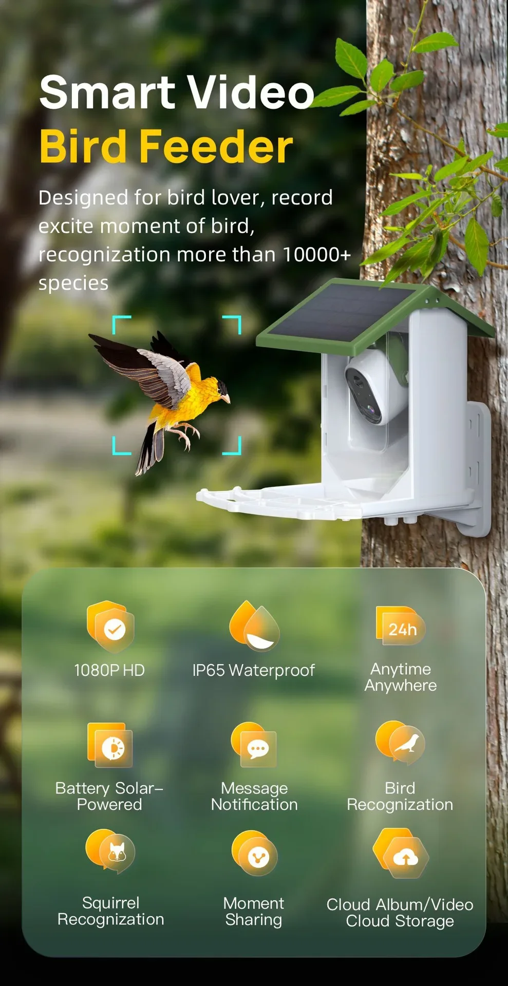 Hotselling grensoverschrijdend - Smart Bird Feeder Camera recensie en prijs